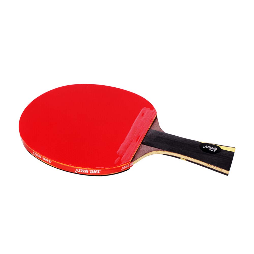 DHS HURRICANE Ping Pong Paddle Gift Box/ Table Tennis Racket Gift Box-Liqing Wang