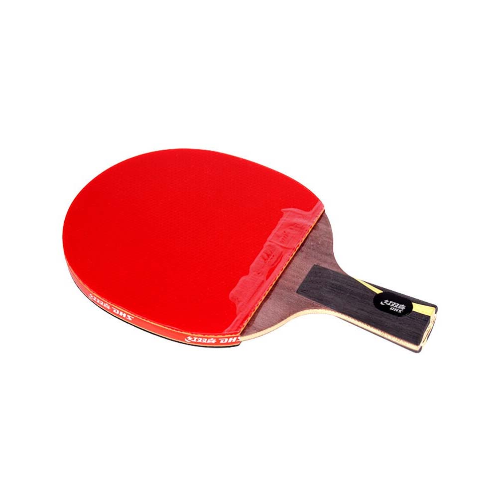 DHS HURRICANE Ping Pong Paddle Gift Box/ Table Tennis Racket Gift Box-Liqing Wang