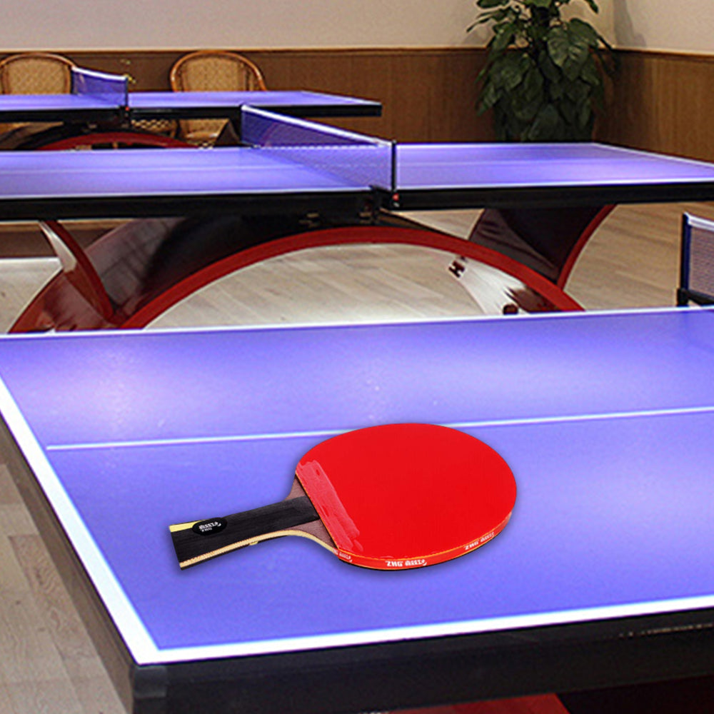 DHS HURRICANE Ping Pong Paddle Gift Box/ Table Tennis Racket Gift Box-Liqing Wang