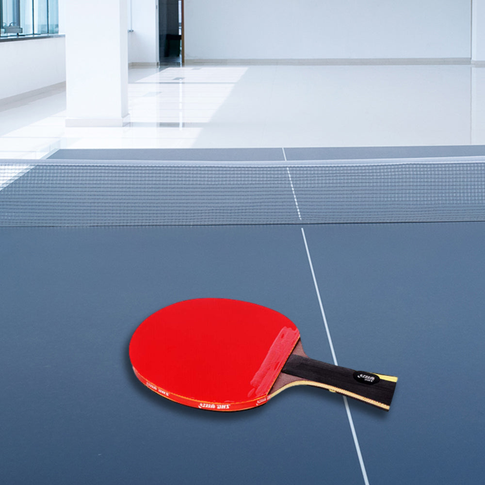 DHS HURRICANE Ping Pong Paddle Gift Box/ Table Tennis Racket Gift Box-Liqing Wang