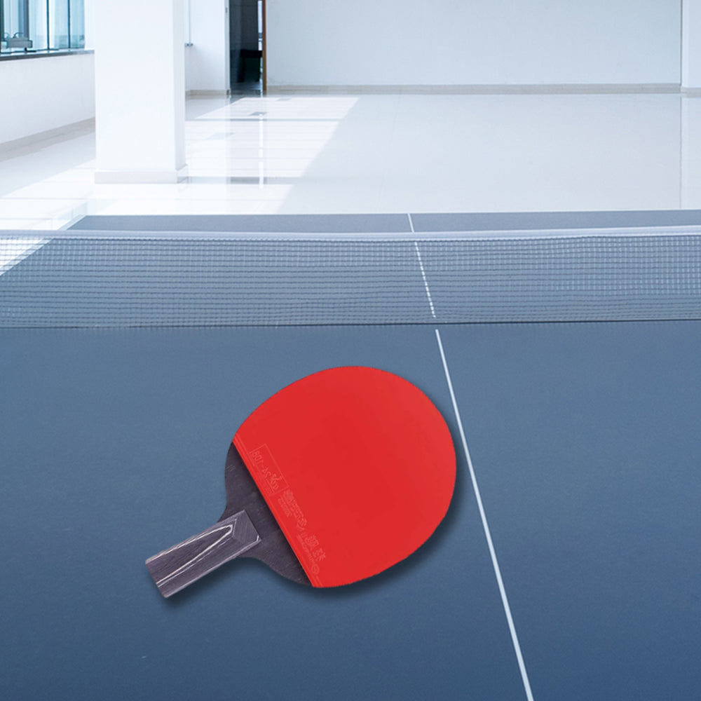 DHS Ping Pong Paddle Gift Box/Star diamond Tennis Racket