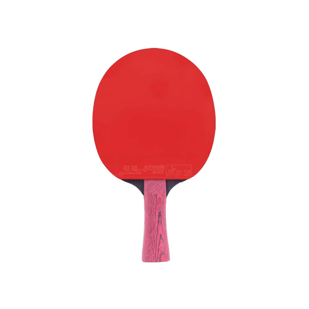 DHS Ping Pong Paddle Gift Box/Star diamond Tennis Racket
