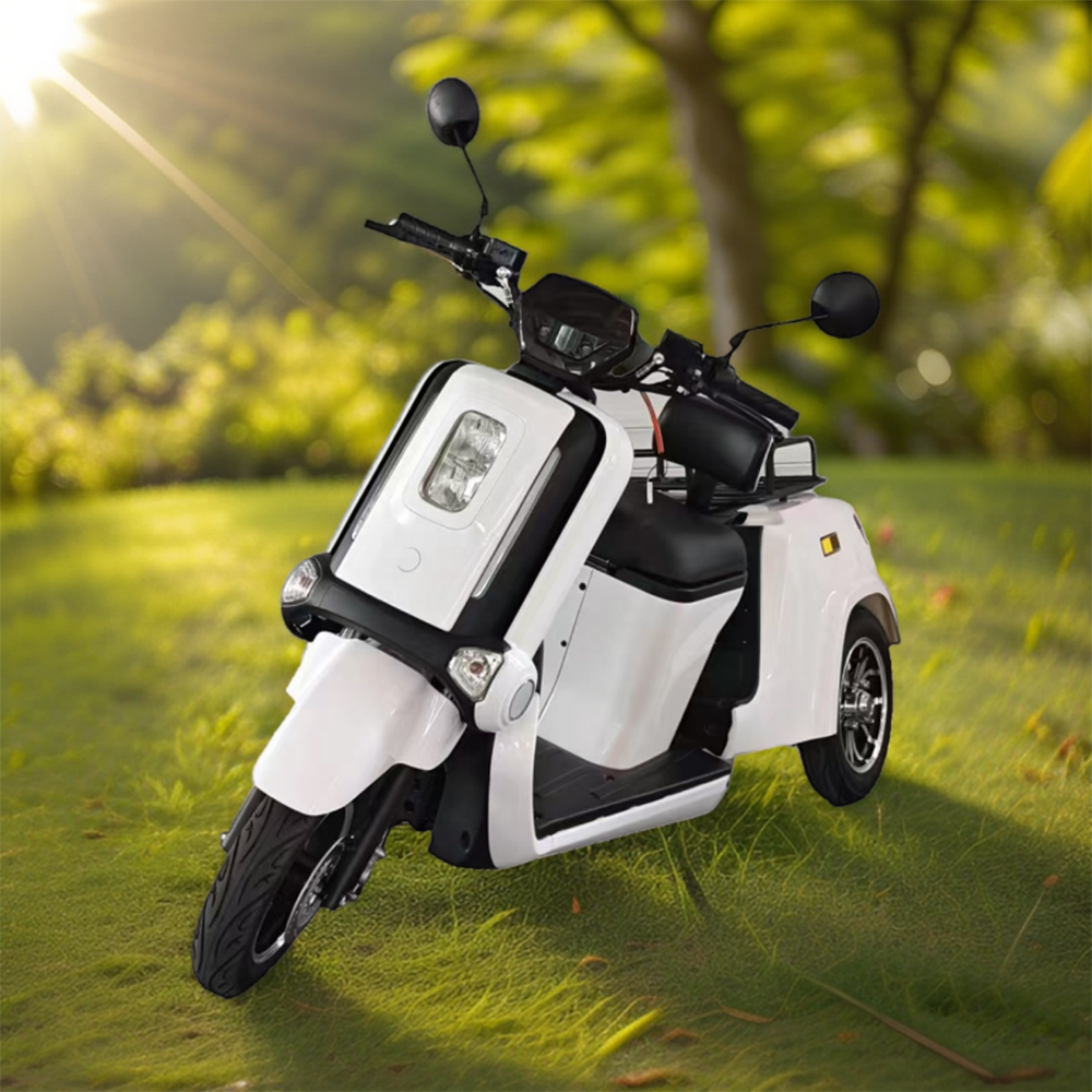 ROLLUX E2A 1000W 72V 32AH 3 Wheels Mobility Scooter 120KG Weight Capacity