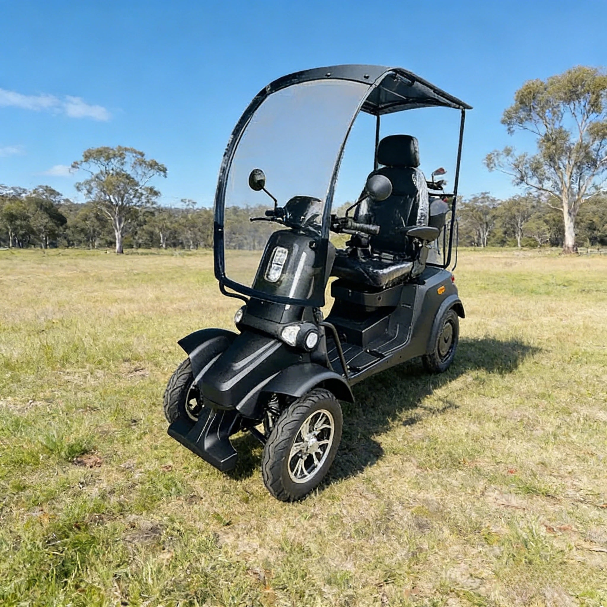 ROLLUX E4 Dual Motors 1600W 4 Wheels Golf Mobility Scooter 300KG Weight Capacity