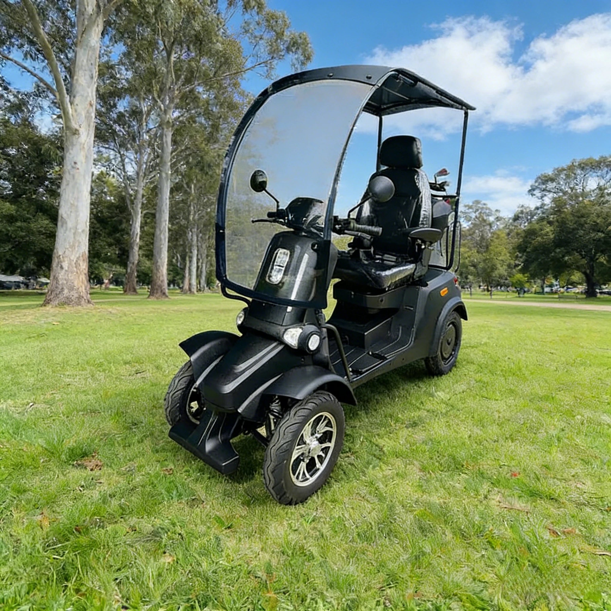 ROLLUX E4 Dual Motors 1600W 4 Wheels Golf Mobility Scooter 300KG Weight Capacity