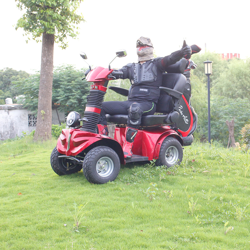 ROLLUX DJ 1000W 60V20Ah Lead-Acid/Lithium Battery Electric Mobility Scooter Drum Brake