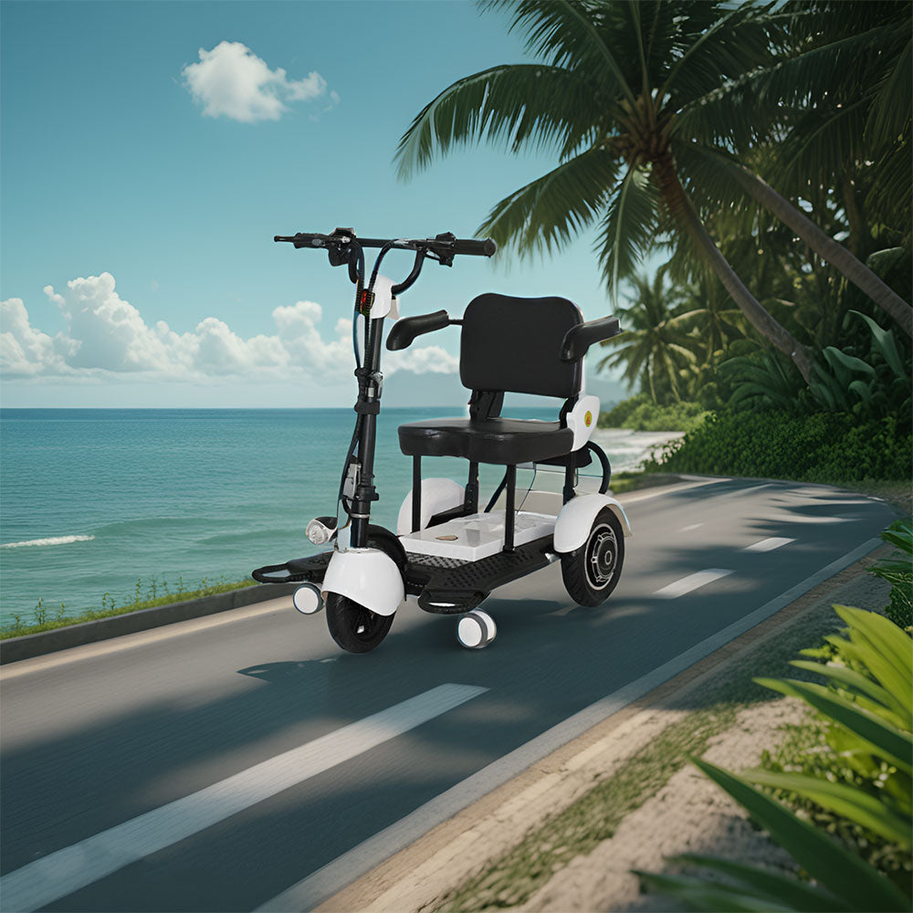 ROLLUX FY-VRLA 350W 48V12Ah Lead-Acid/Lithium Battery Electric Mobility Scooter Drum Brake