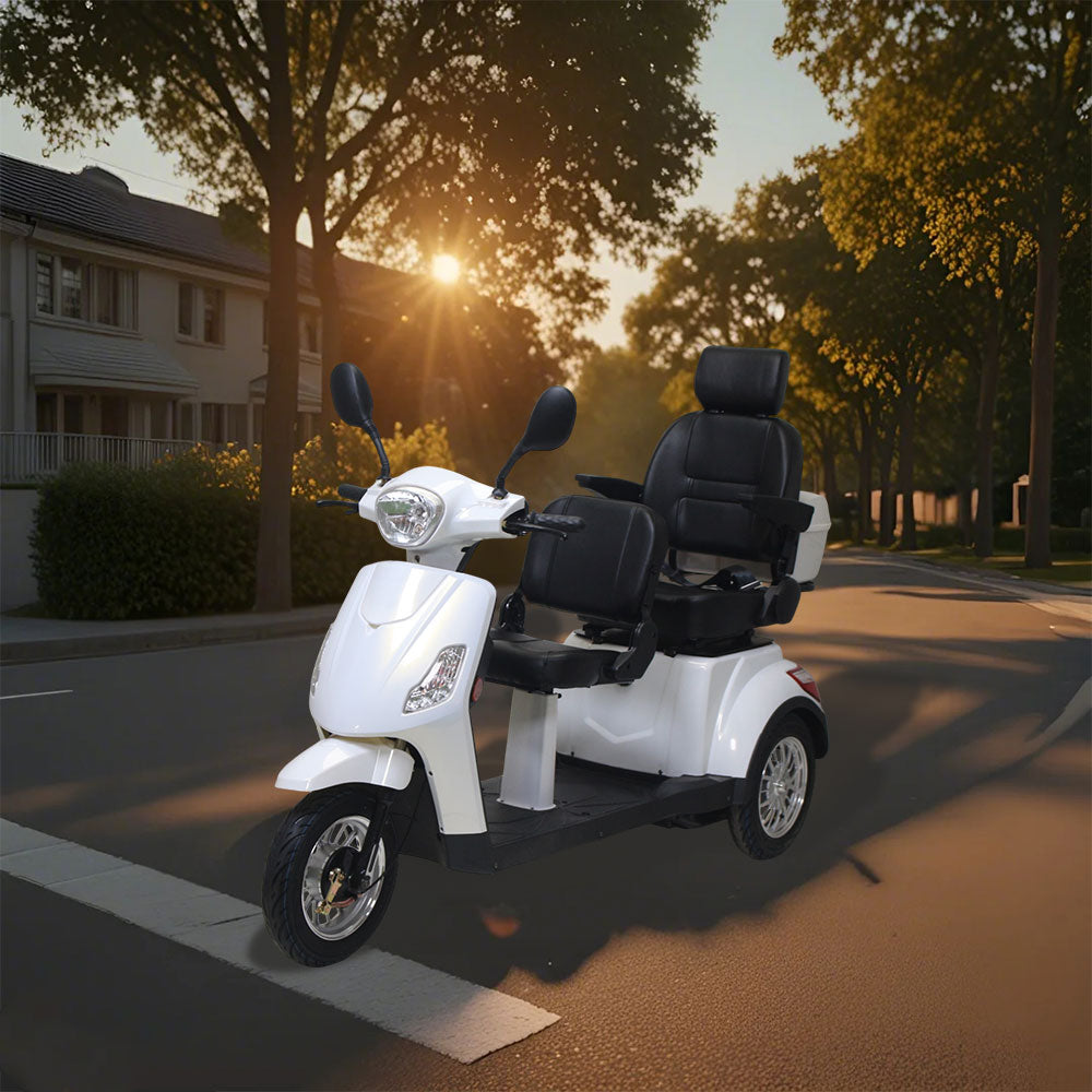 ROLLUX XL2D 500W 60V20Ah  Lead-Acid/Lithium Battery Electric Mobility Scooter Drum Brake