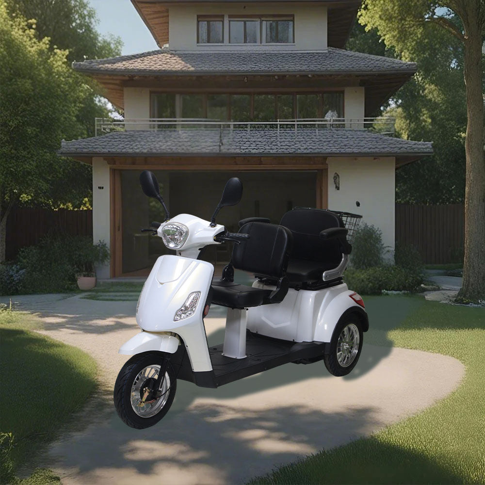 ROLLUX XL2D 500W 60V20Ah  Lead-Acid/Lithium Battery Electric Mobility Scooter Drum Brake