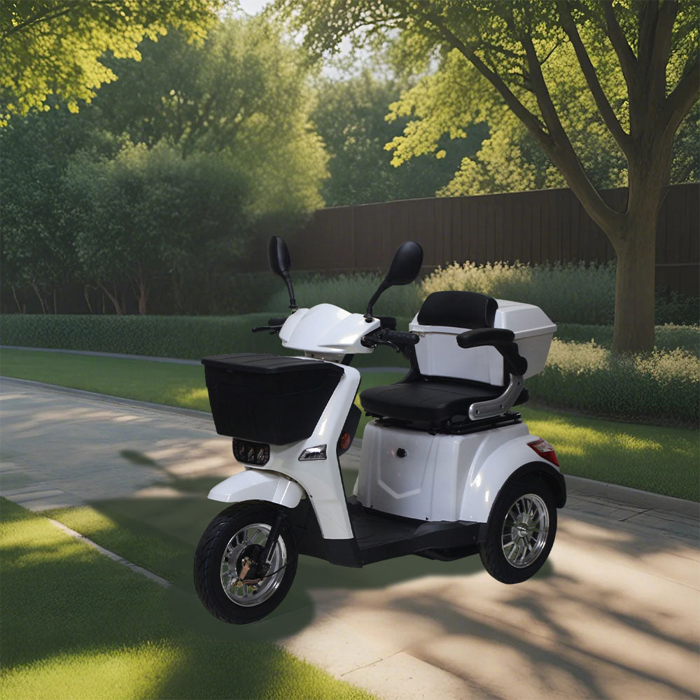 ROLLUX XL3D 500W 60V20Ah Lead-Acid/Lithium Battery Electric Mobility Scooter Drum Brake