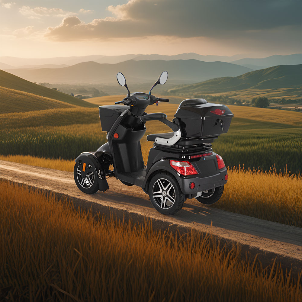 ROLLUX XL3D4W 500W 60V20Ah Lead-Acid/Lithium Battery Electric Mobility Scooter Drum Brake