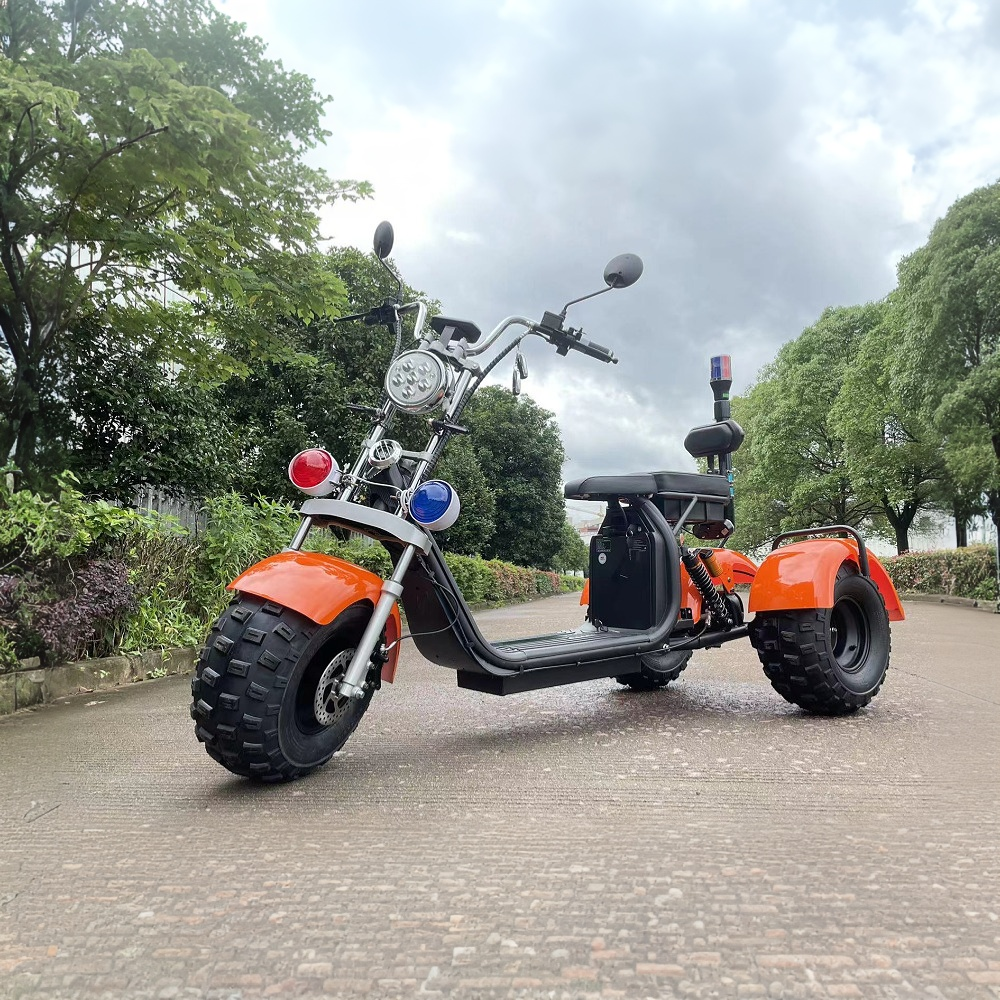 GLIDER HALLEY SC 08 1000W 60V 12-20AH  Lithium Battery Three-Wheel Electric Motorbike/Motorcycle/Scooter Cruise at 25km/h - Unlock More Power (Details Inside)*