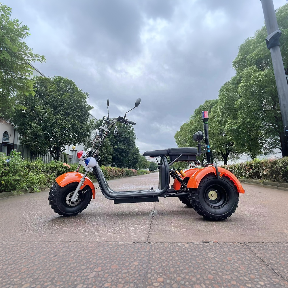 GLIDER HALLEY SC 08 1000W 60V 12-20AH  Lithium Battery Three-Wheel Electric Motorbike/Motorcycle/Scooter Cruise at 25km/h - Unlock More Power (Details Inside)*
