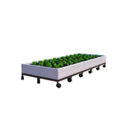 SOLARA Heavy Duty Raised Garden Bed Reinforced PP Outdoor Planter Box 240L for Balcony Patio Garden - White