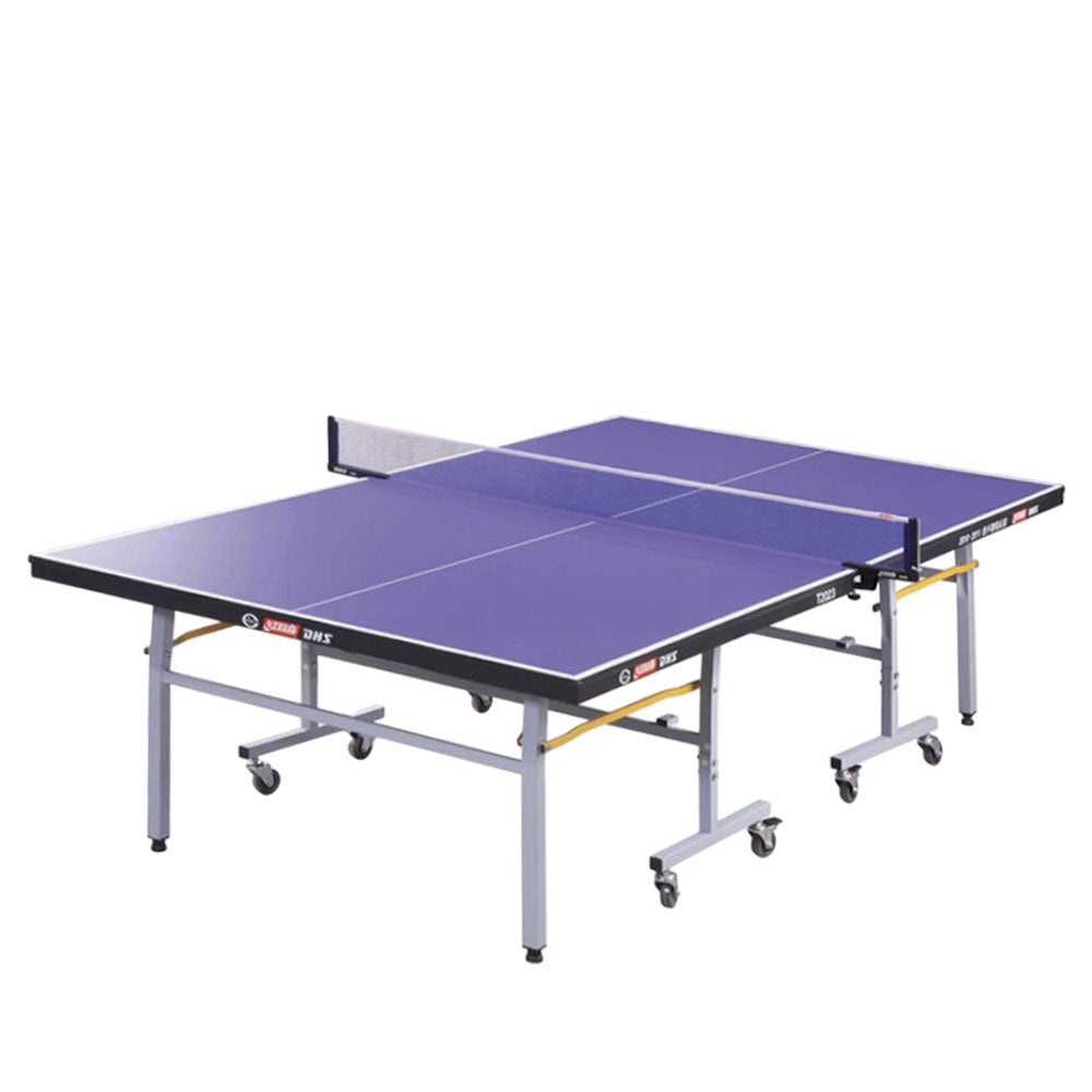 DHS T2023&T2123 Premium 18mm&15mm Indoor Blue Table Tennis Pingpong Table - Bats Balls Net