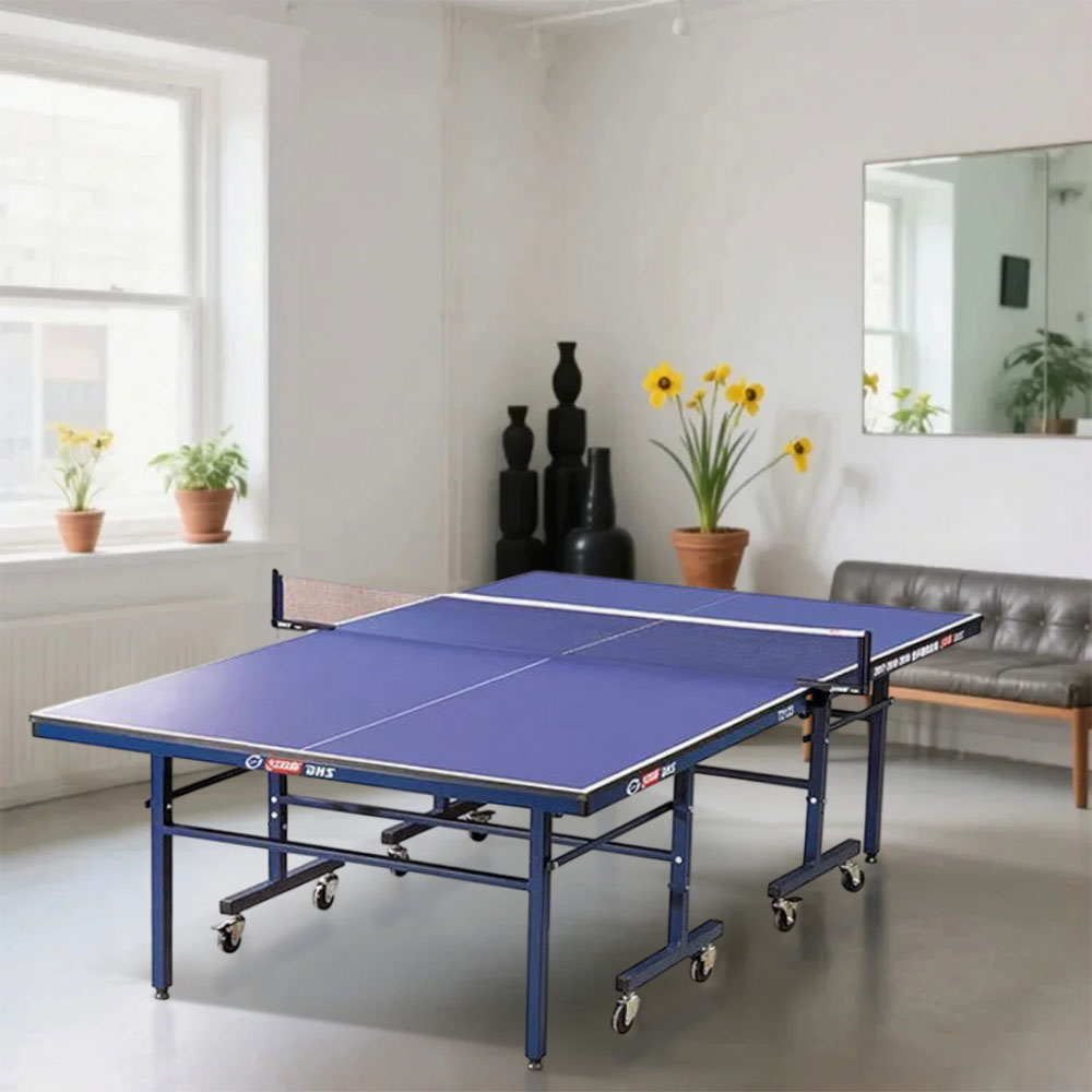 DHS T2023&T2123 Premium 18mm&15mm Indoor Blue Table Tennis Pingpong Table - Bats Balls Net