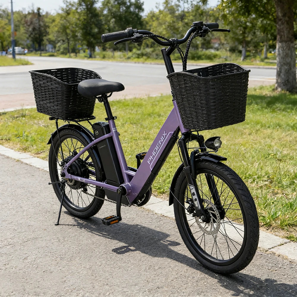 VOLTUS 20-Inch Electric Bike, 350W Rear Motor, Dual Disc Brakes, High Carbon Steel Frame, Spoked Wheels, Hidden Waterproof Battery with Rear Rack - Purple