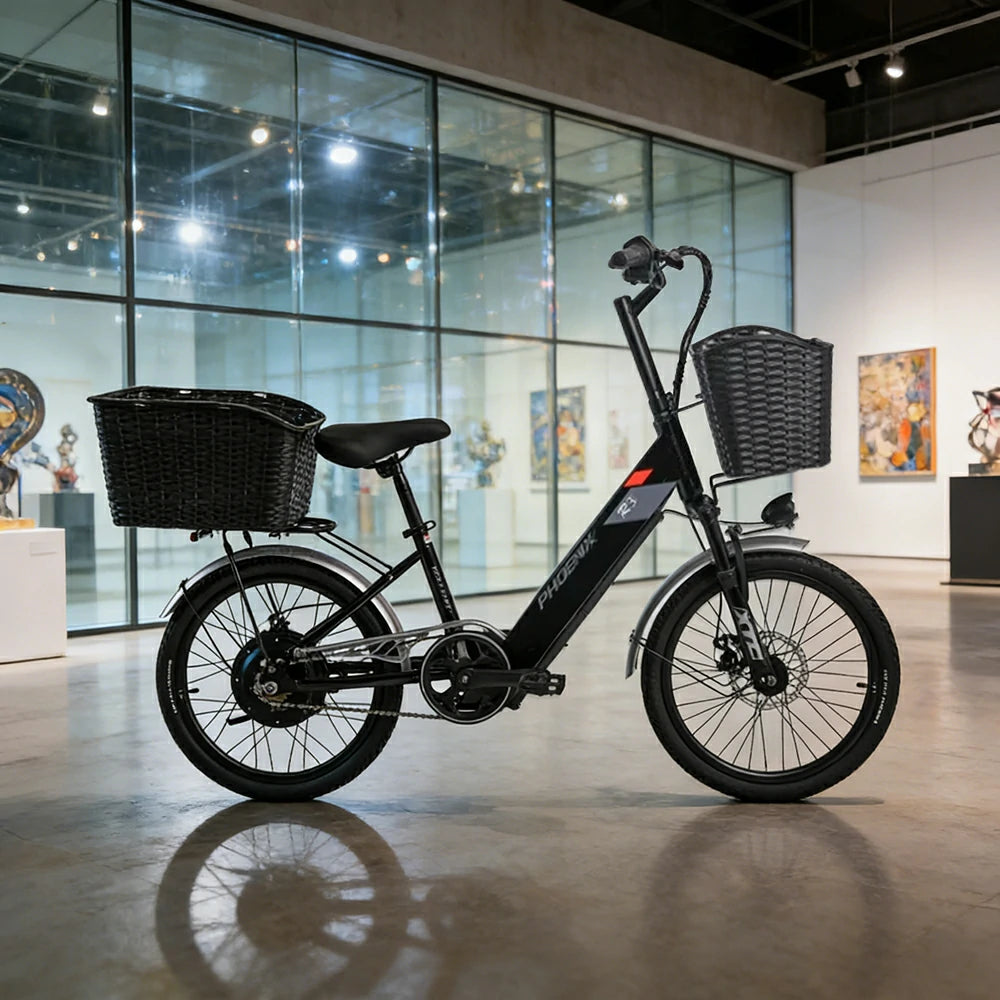 VOLTUS 20-Inch Electric Bike, 36V350W Brushless Motor, Dual Disc Brakes, High Carbon Steel Frame, Hidden Waterproof Battery - Black