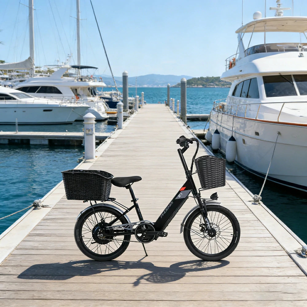 VOLTUS 20-Inch Electric Bike, 36V350W Brushless Motor, Dual Disc Brakes, High Carbon Steel Frame, Hidden Waterproof Battery - Black