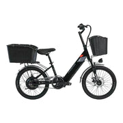 VOLTUS 20-Inch Electric Bike, 36V350W Brushless Motor, Dual Disc Brakes, High Carbon Steel Frame, Hidden Waterproof Battery - Black