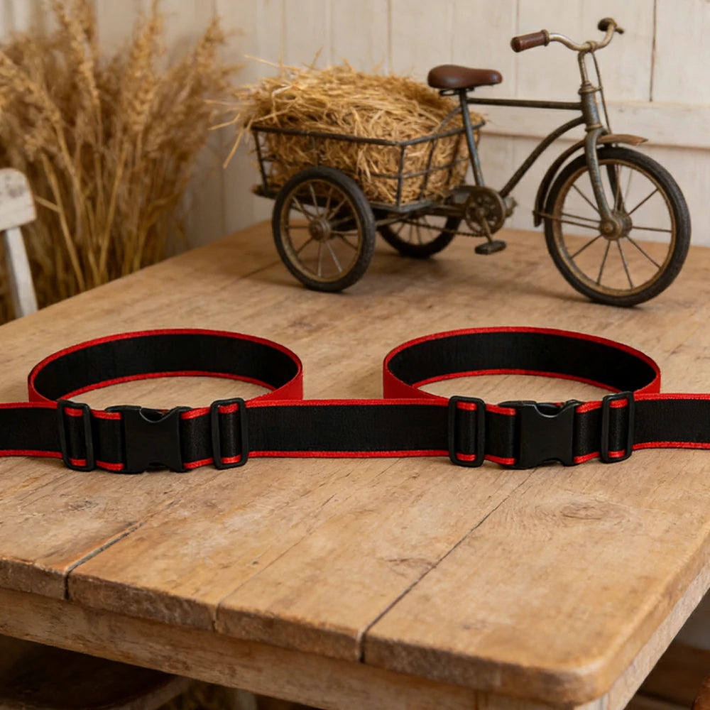 VOLTUS Double Kids Tricycle Safety Strap Full-Wrap Secure Support High-Strength Webbing No-Drill Installation Adjustable Fit - Black&Red