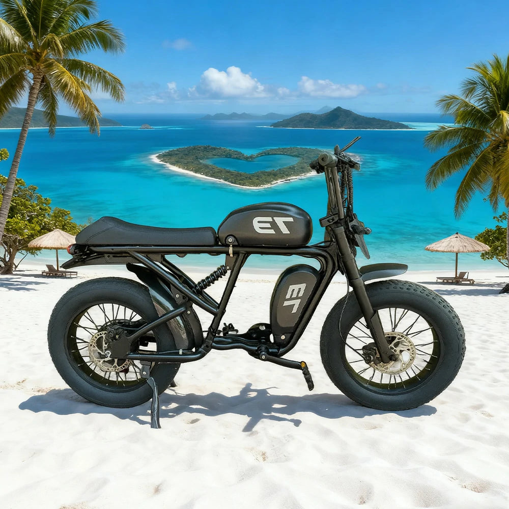 VOLTUS Z02 Electric Bike 48V13Ah 500W Fat Tyre Retro-Style E-Bike Durable Steel Frame - Black