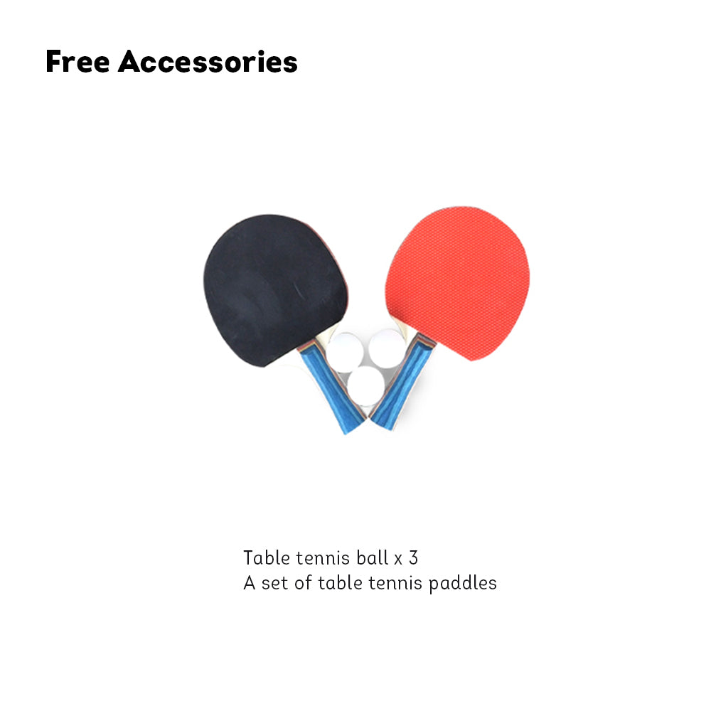 DOUBLE FISH SW318B Outdoor Waterproof Blue Table Tennis Pingpong Table-Bats Balls Net ITTF Approve