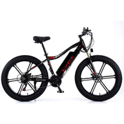VOLTUS 750W 48V ML1P Snow Bicycle 26-inches Beach Electric Bike Motorized eBike Battery