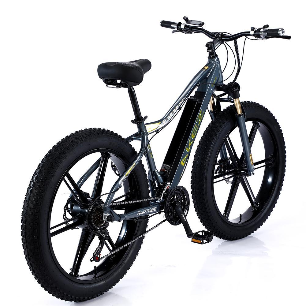 VOLTUS 750W 48V ML1P Snow Bicycle 26-inches Beach Electric Bike Motorized eBike Battery