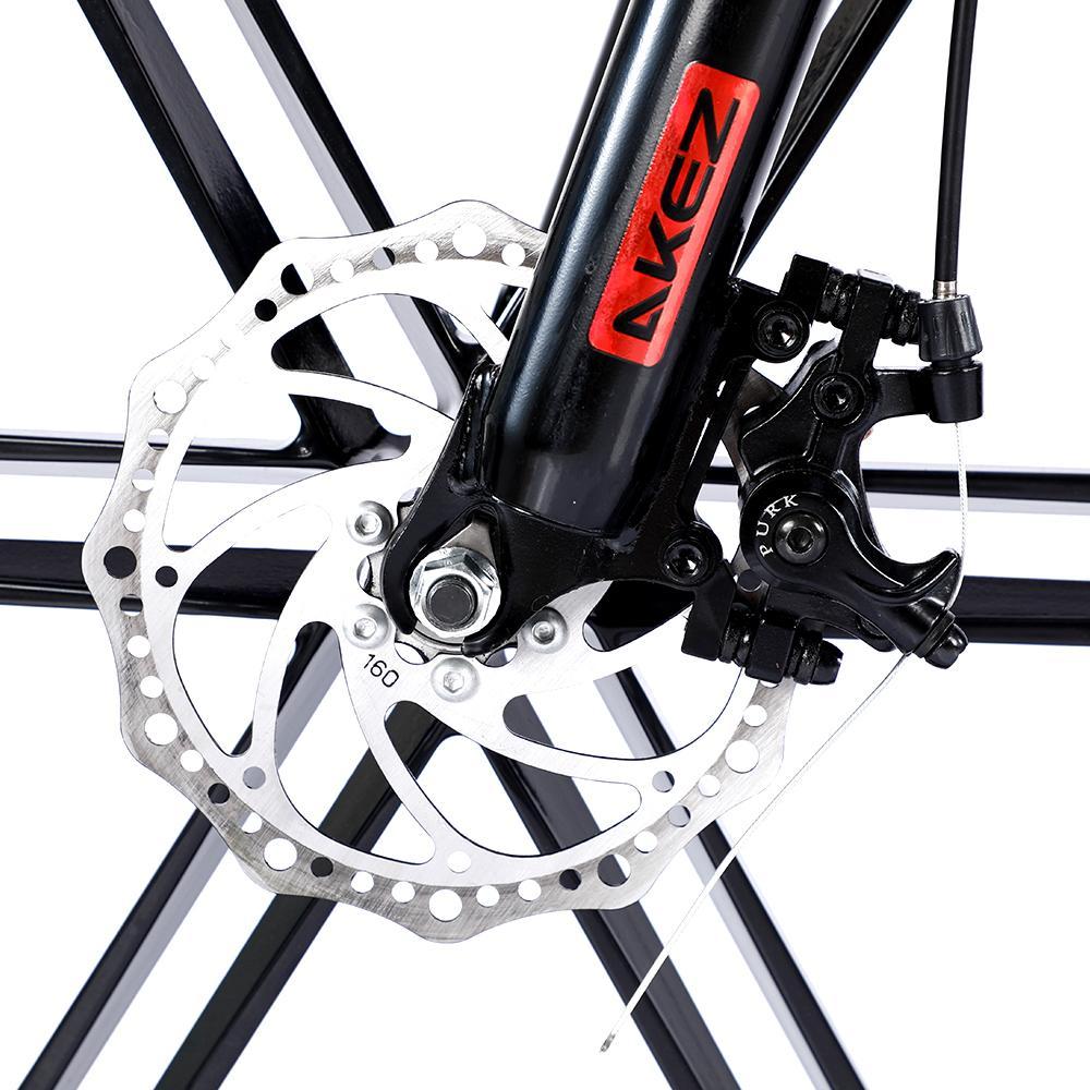 VOLTUS 750W 48V ML1P Snow Bicycle 26-inches Beach Electric Bike Motorized eBike Battery