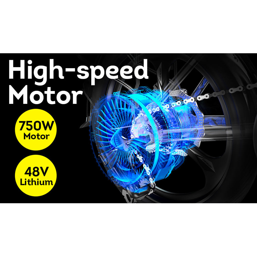 VOLTUS OSP 750W 48V 17.5Ah 20x4.0 Inches Electric Bike 7 Speeds Snow E-bike