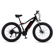 VOLTUS 750W 48V ML Snow Bicycle 26-inch Beach Electric Bike Motorized eBike Battery