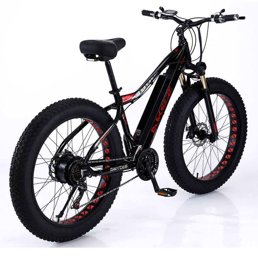 VOLTUS 750W 48V ML Snow Bicycle 26-inch Beach Electric Bike Motorized eBike Battery
