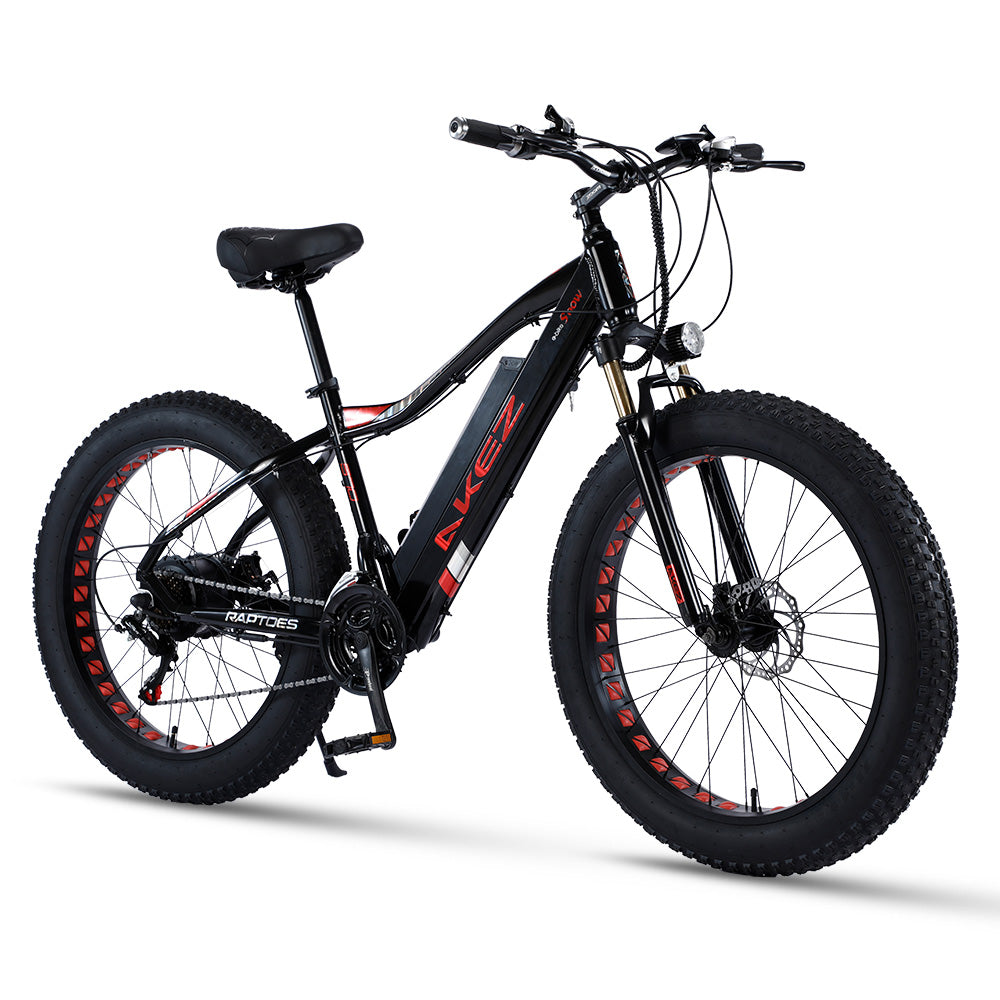 VOLTUS 750W 48V ML Snow Bicycle 26-inch Beach Electric Bike Motorized eBike Battery