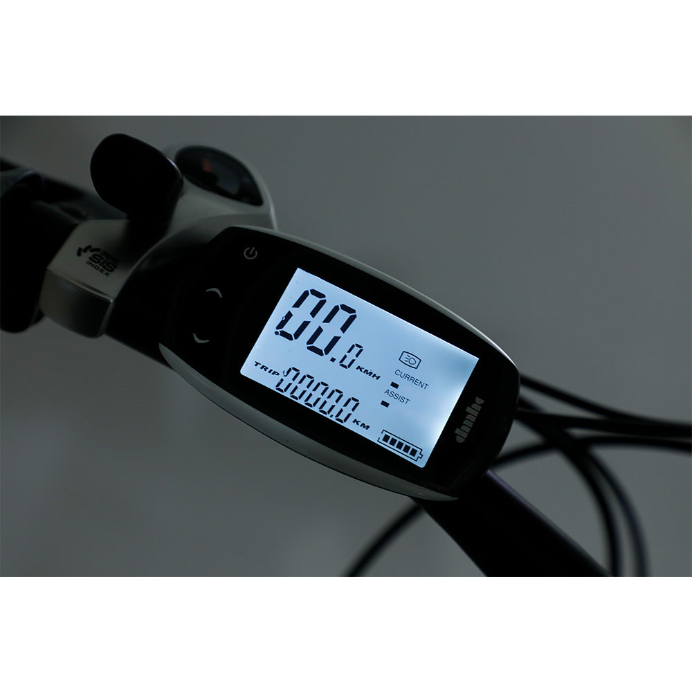 VOLTUS 750W 48V ML Snow Bicycle 26-inch Beach Electric Bike Motorized eBike Battery