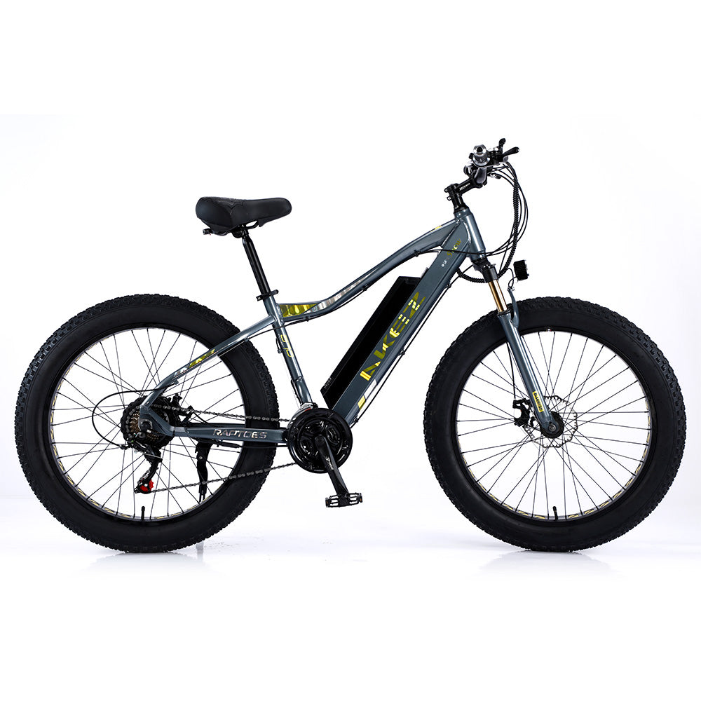 VOLTUS 750W 48V ML Snow Bicycle 26-inch Beach Electric Bike Motorized eBike Battery