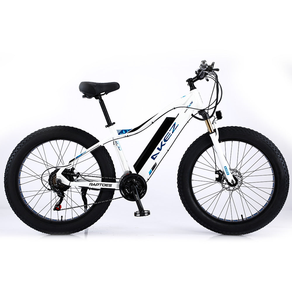 VOLTUS 750W 48V ML Snow Bicycle 26-inch Beach Electric Bike Motorized eBike Battery