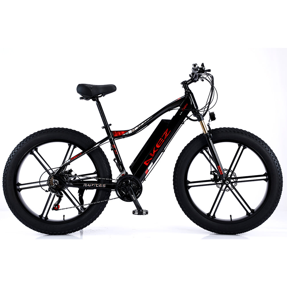 VOLTUS 750W 48V ML1P Snow Bicycle 26-inches Beach Electric Bike Motorized eBike Battery
