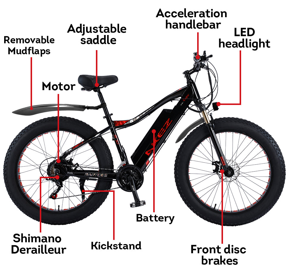 VOLTUS 750W 48V ML Snow Bicycle 26-inch Beach Electric Bike Motorized eBike Battery