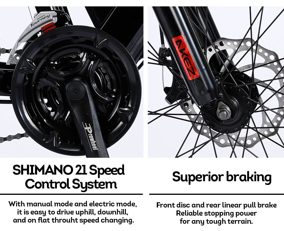 VOLTUS 750W 48V ML Snow Bicycle 26-inch Beach Electric Bike Motorized eBike Battery