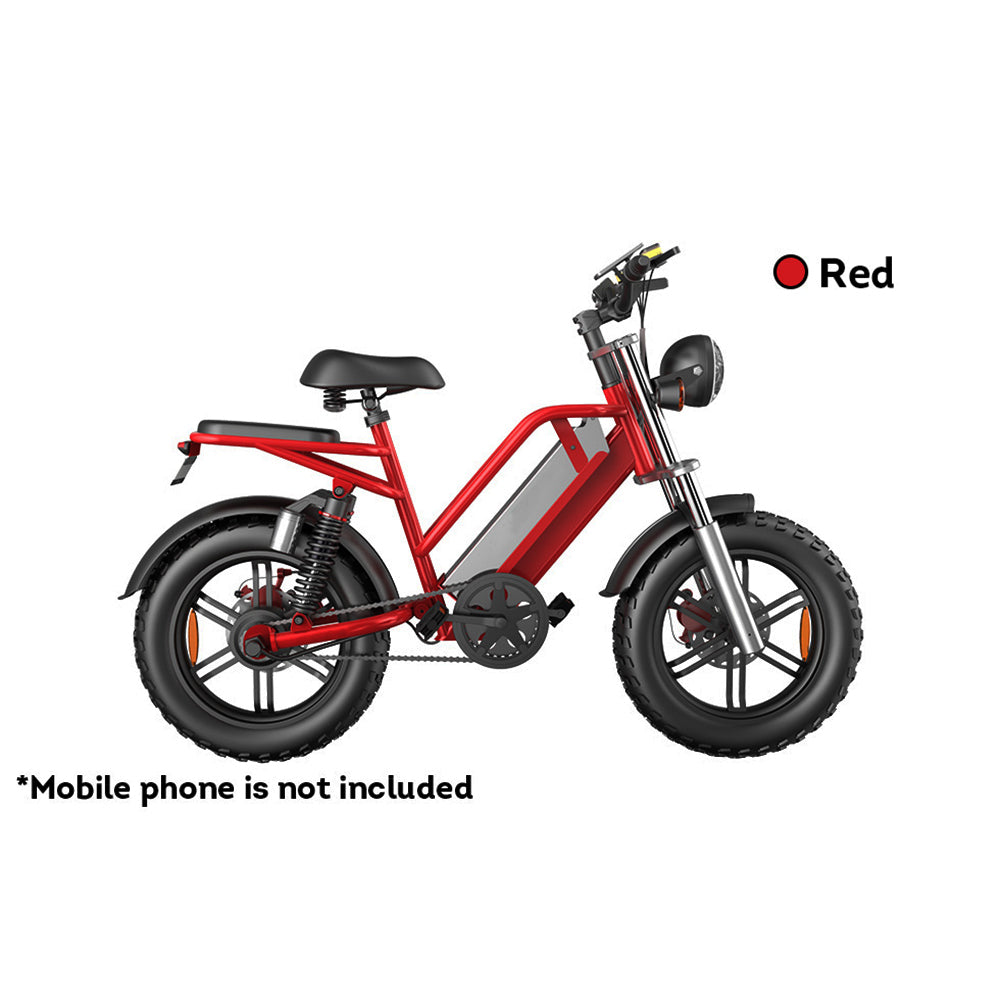 D70 48V 750W 20Ah 20*4 Inches Electric Bike Rekote Alarm