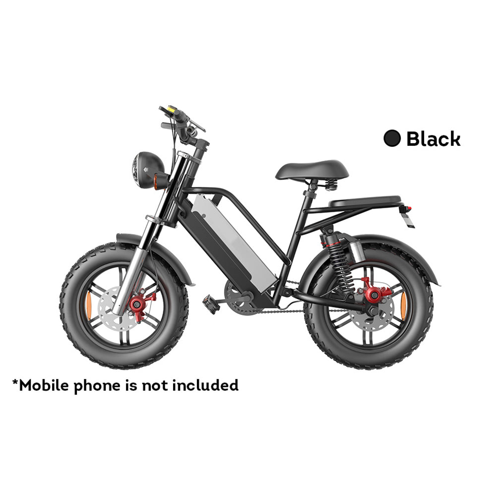 D70 48V 750W 20Ah 20*4 Inches Electric Bike Rekote Alarm