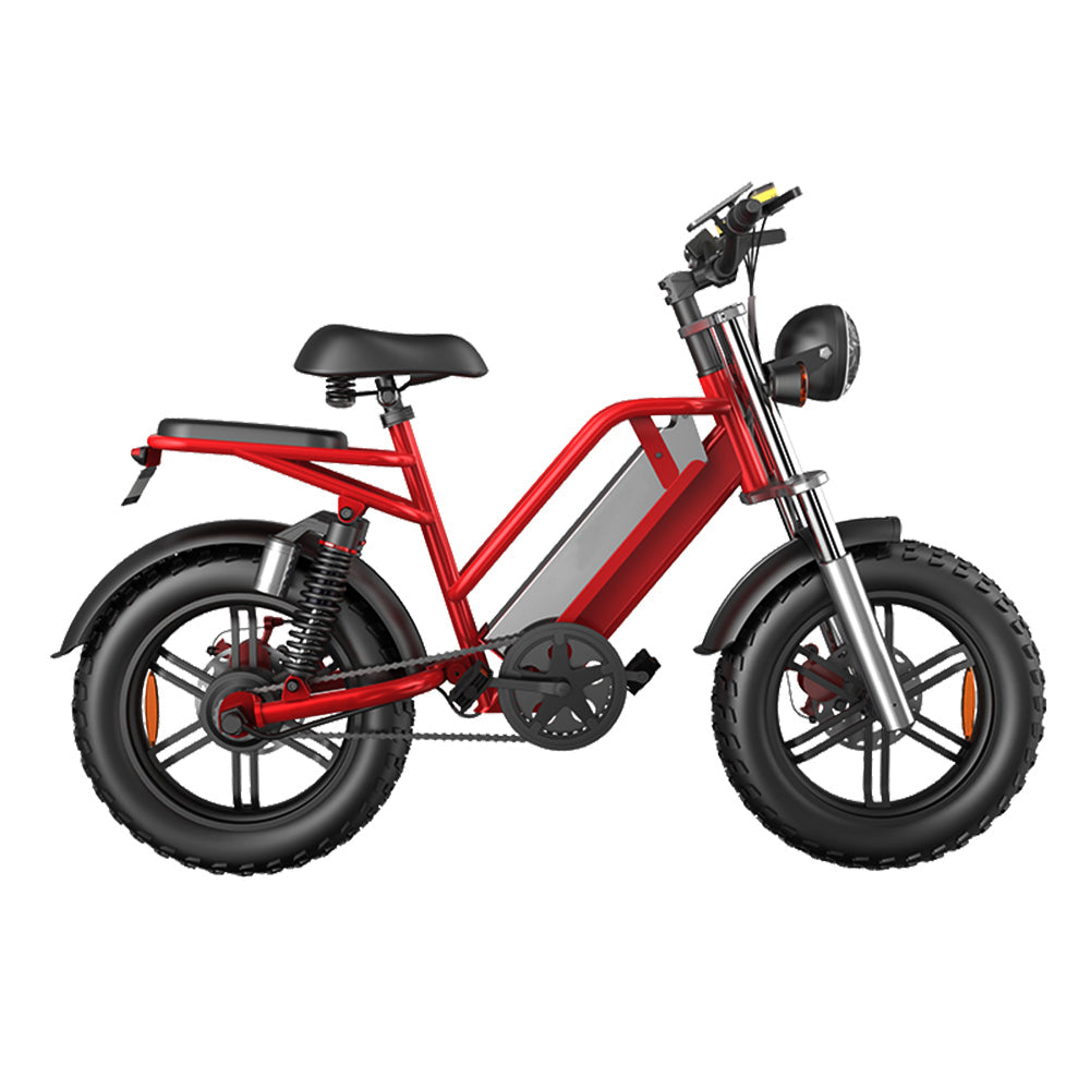 D70 48V 750W 20Ah 20*4 Inches Electric Bike Rekote Alarm