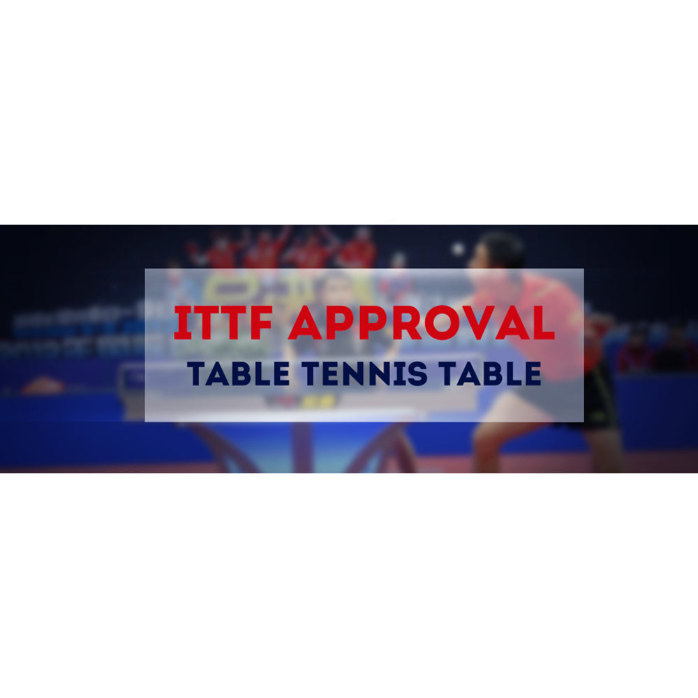 DOUBLE FISH 233 25mm Blue&gray Foldable Solo Play Indoor Table Tennis/Ping Pong Table - Bats Ball Net ITTF Approve